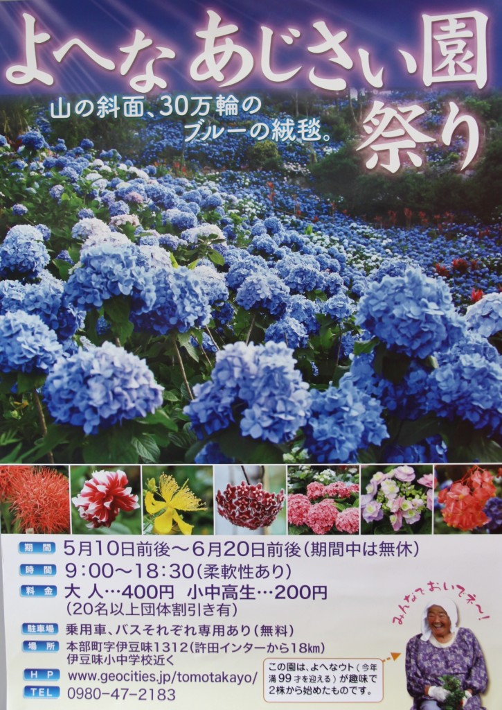 よへなあじさい園2016