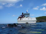 古宇利島　ボートで行く体験ダイビング　<通年>