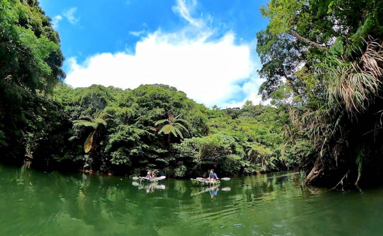 ジャングルカヤック