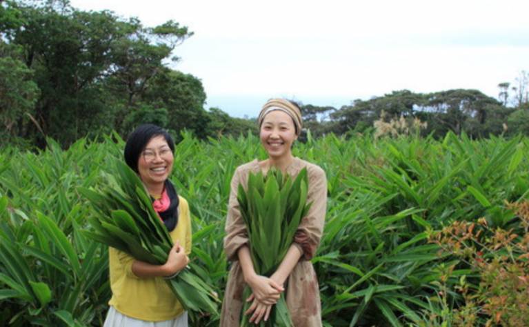 オーガニック月桃収穫＆蒸留体験