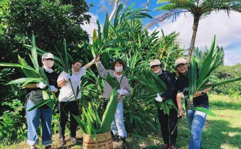 オーガニック月桃収穫＆蒸留体験