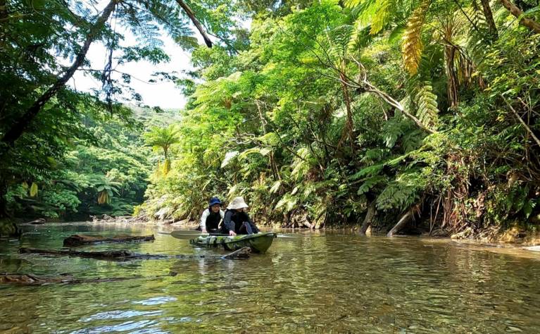 ジャングルカヤック