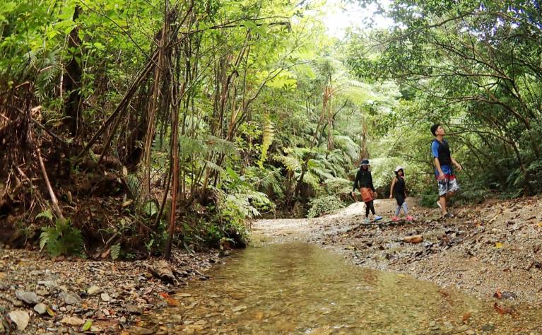 ジャングルカヤック