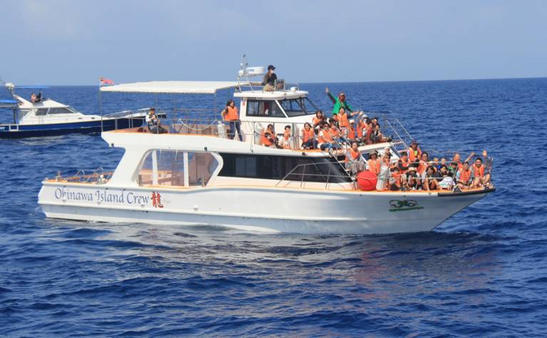 ホエールウォッチング 