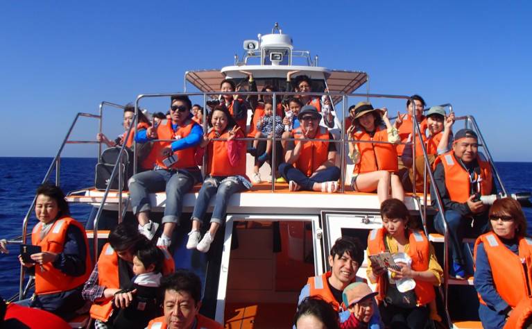 ホエールウォッチング 