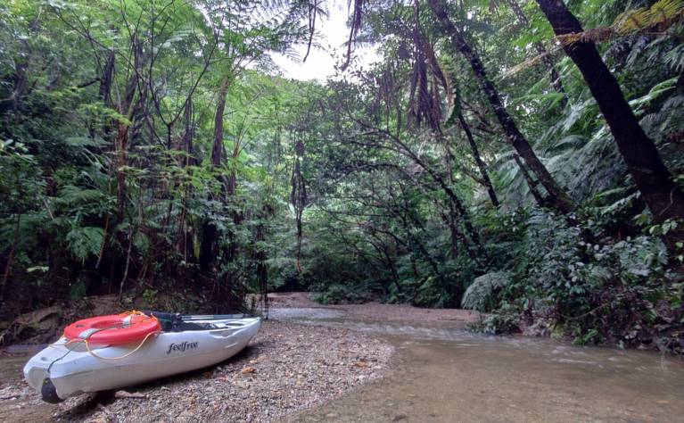 ジャングルカヤック