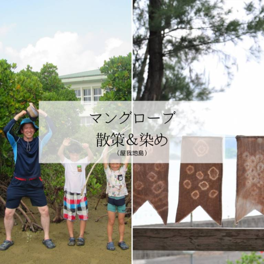 マングローブ散策＆染め体験