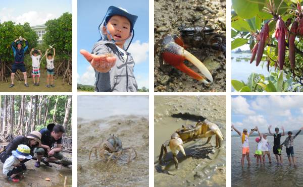 マングローブ散策＆染め体験