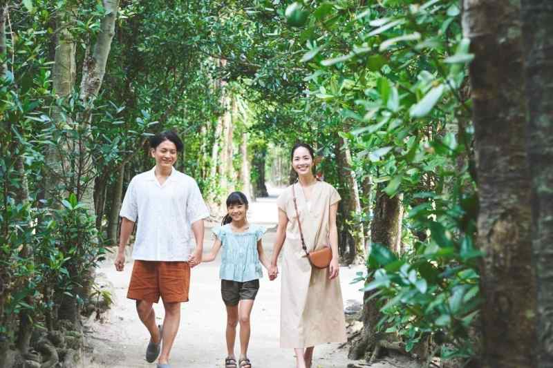 「備瀬のフクギ並木」