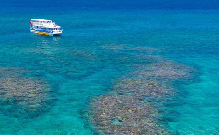 コーラルビュークルージング