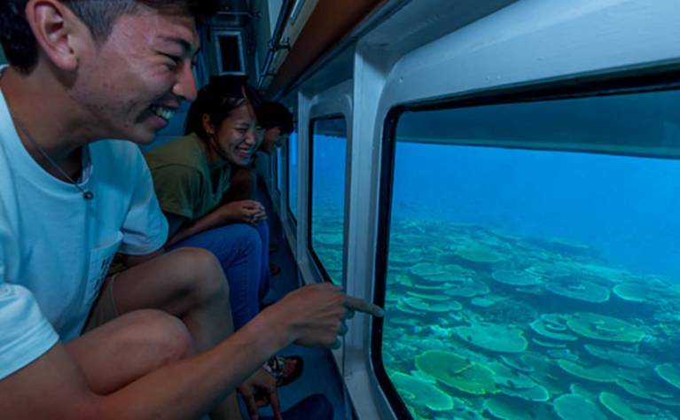 コーラルビュークルージング