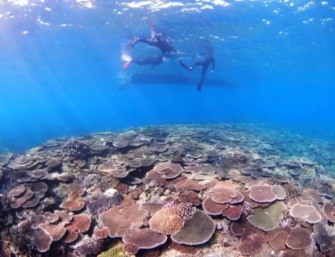 ＜古宇利島＞ ボートシュノーケルツアー