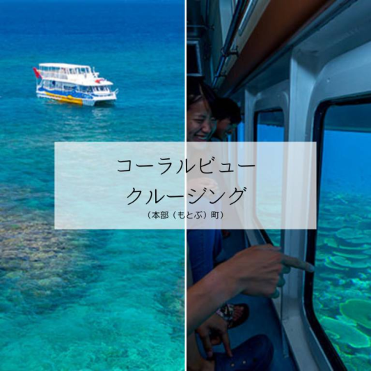 コーラルビュークルージング