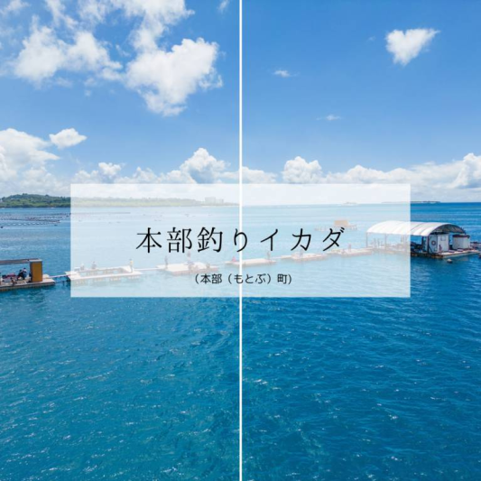 本部釣りイカダ