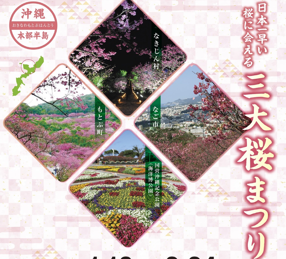 1 18 4 5 日本一早い桜まつり 美ら海花まつり 沖縄 ホテルオリオンモトブリゾート スパ 1 18 4 5 日本一早い桜まつり 美ら海花まつり 沖縄 ホテルオリオンモトブリゾート スパ
